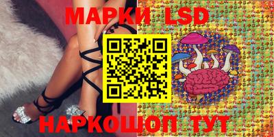 скорость Можга