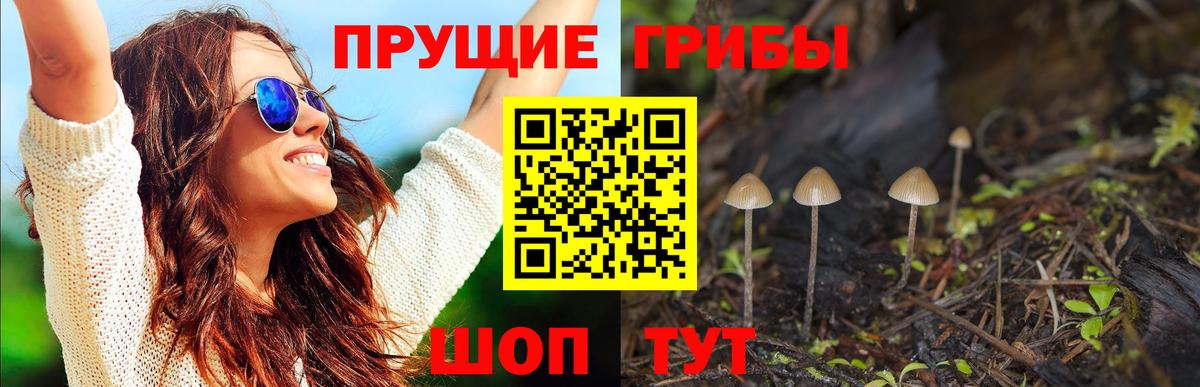 Домодедово  Галлюциногенные грибы MAGIC MUSHROOMS  Псилоцибиновые грибы Cubensis  Вход с VPN 